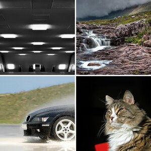 10-Jahres Thread