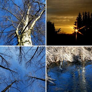 Natur