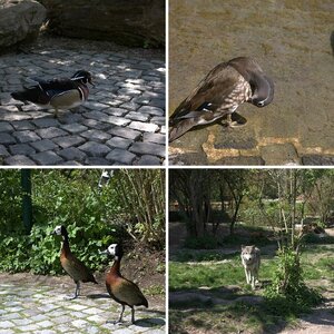 Zoo Besuch
