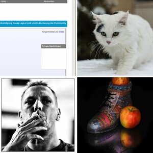 meine bilder - part II -