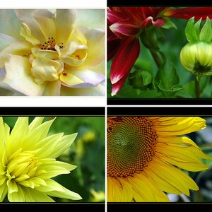 Blumen