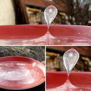 Eiswuchs