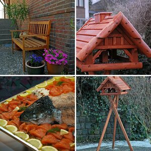 Walters Bilder