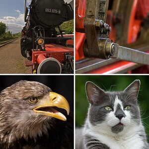 bilder zu div. objektiven