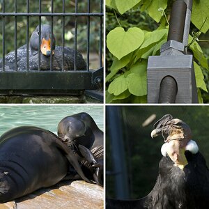 Zoo Berlin (Sonntag 10. Mai 2009)