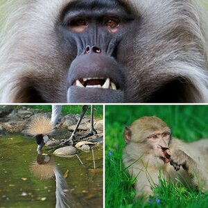 Naturzoo Rheine