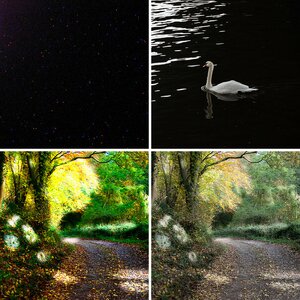 Dodu´s Album