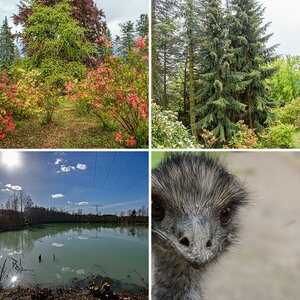 Garten Pflanzen Landschaft