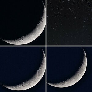Mond