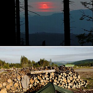 Sauerland