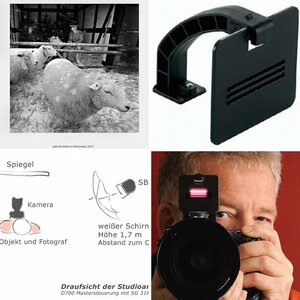 Allgemein