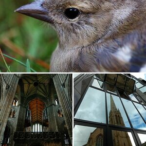 Bilder