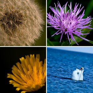 Natur//Tiere