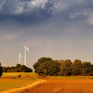 Landschafts- und Naturbilder