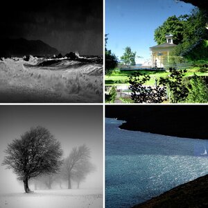 Meine Bilder