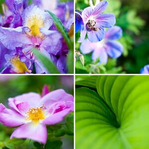 Bilder mit Nokton 58