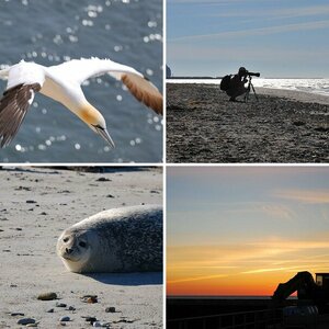 Helgoland