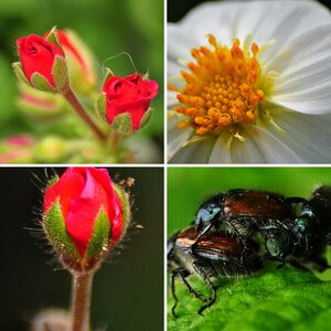 Erste Gehversuche in Sachen Macro