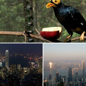 Hongkong 08-12-2008