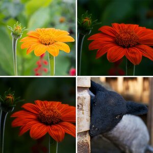 Testbilder