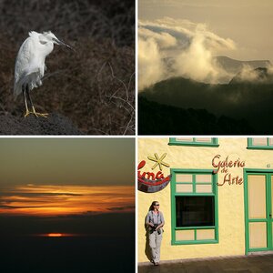 La Gomera 2008