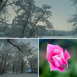 Bilder