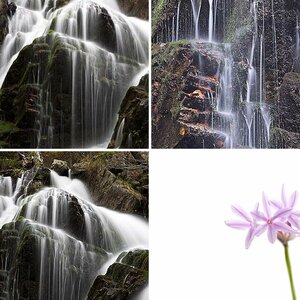 Buntes