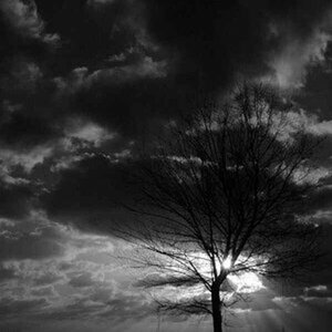 B/W