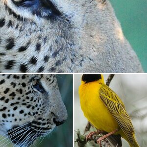 D700 ISO Beispiele