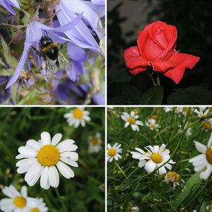 Meine Ersten Fotos mit der Nikon D 3000