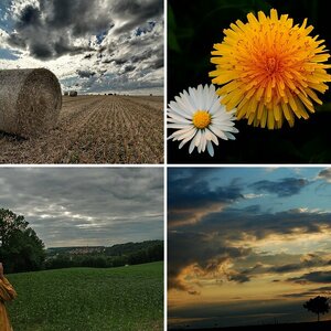 Natur