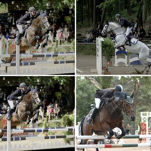 Reitsport
