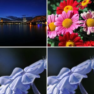 Dietmar's Bilder