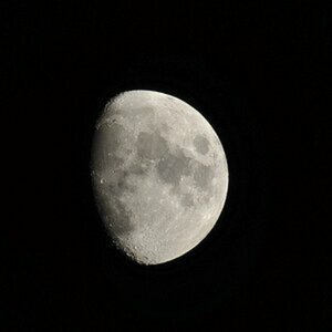 Mond