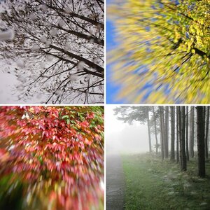 Bilder, Bilder