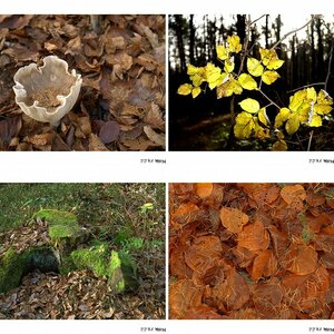 Herbst