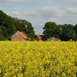 Frühling