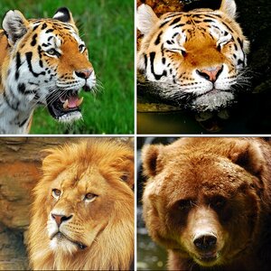 Zoo Wuppertal