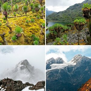 Ruwenzori (Mondberge)