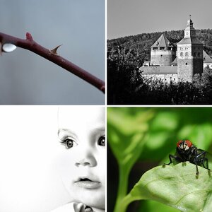 Mein Album