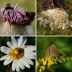 Naturfotografie Schwäbische Alb