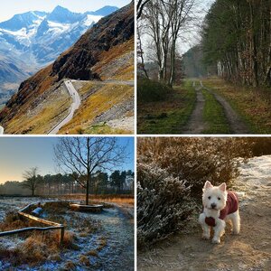 Meine Lieblingsbilder