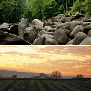 Landschaft