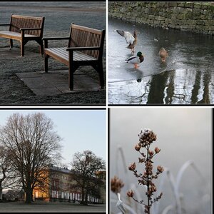 Schlosspark Winter