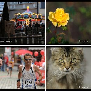 Fotos des Jahres 2009