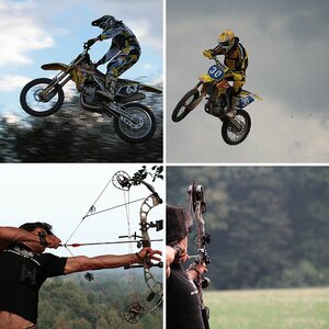 Sport