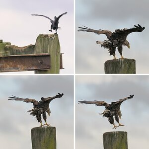 Usedom 09