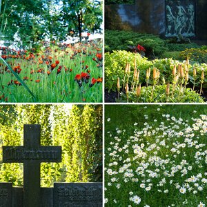 Friedhof in Auerbach im Erzgebirge