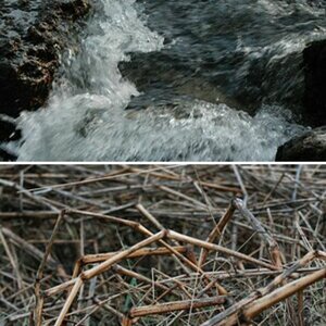 Natur