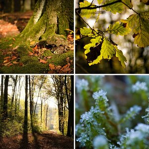 Natur